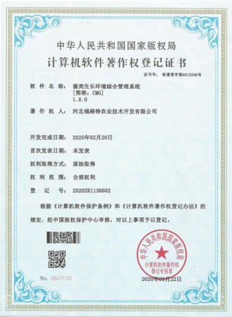 软件著作权